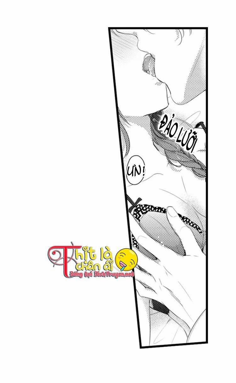 Sai Rồi, Sếp Tây Nhà Tôi Không Phải Là Quý Ông Đâu! 12 trang 1