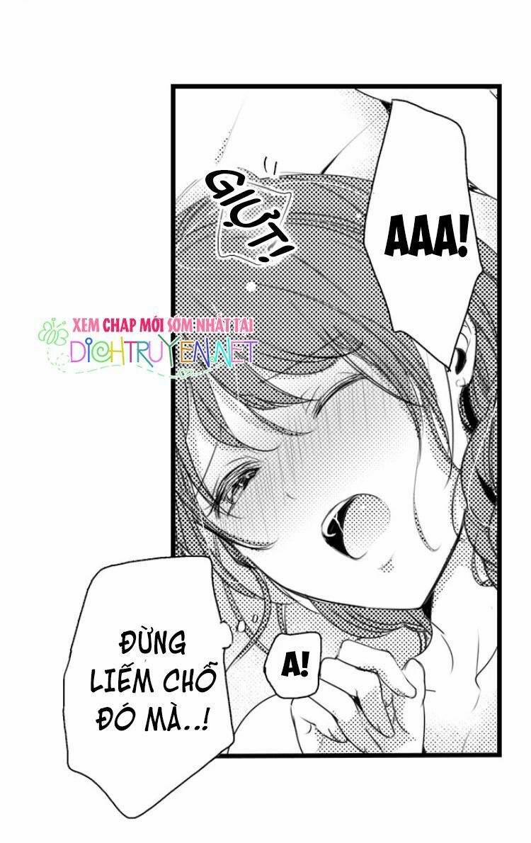 Sai Rồi, Sếp Tây Nhà Tôi Không Phải Là Quý Ông Đâu! 12 trang 10