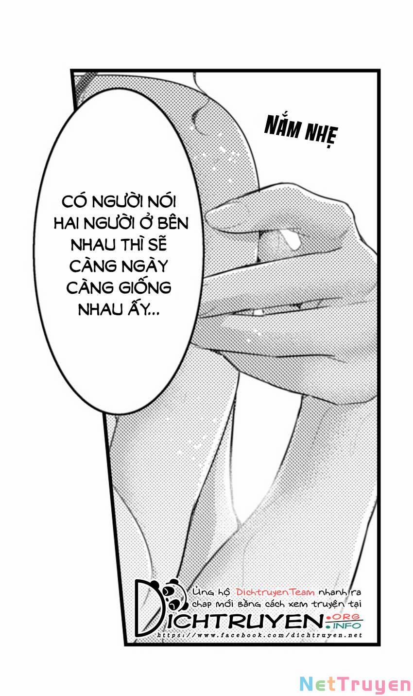 Sai Rồi, Sếp Tây Nhà Tôi Không Phải Là Quý Ông Đâu! 60 trang 12