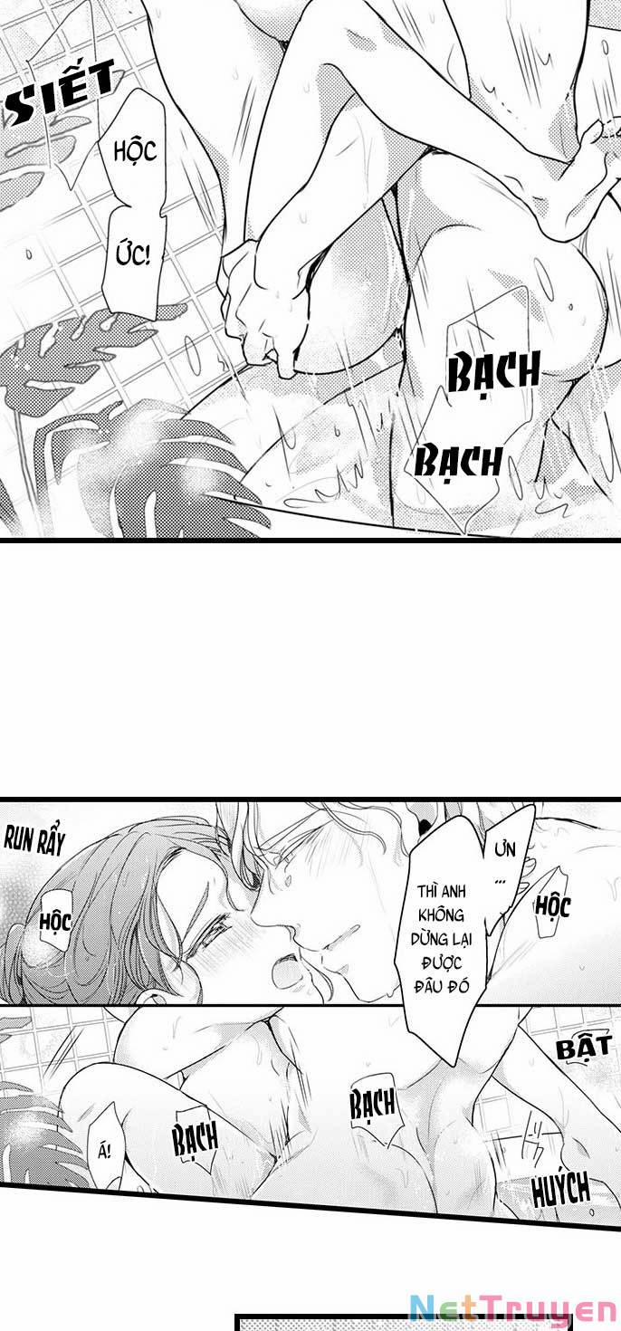 Sai Rồi, Sếp Tây Nhà Tôi Không Phải Là Quý Ông Đâu! 62 trang 11