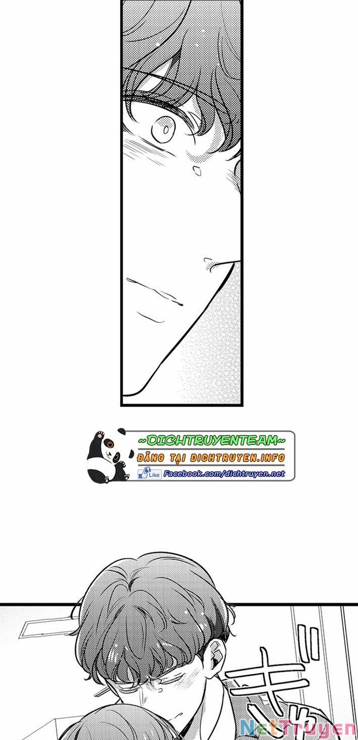 Sai Rồi, Sếp Tây Nhà Tôi Không Phải Là Quý Ông Đâu! 74 trang 12