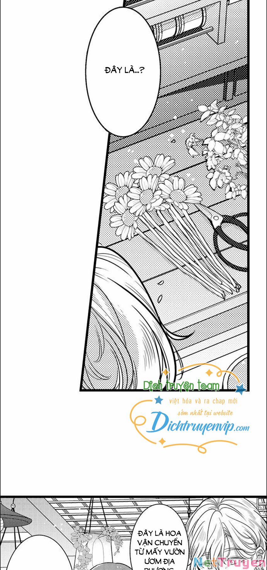 Sai Rồi, Sếp Tây Nhà Tôi Không Phải Là Quý Ông Đâu! 79 trang 18