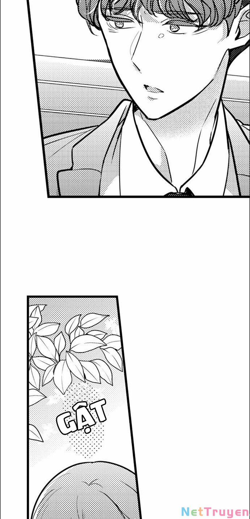 Sai Rồi, Sếp Tây Nhà Tôi Không Phải Là Quý Ông Đâu! 81 trang 8