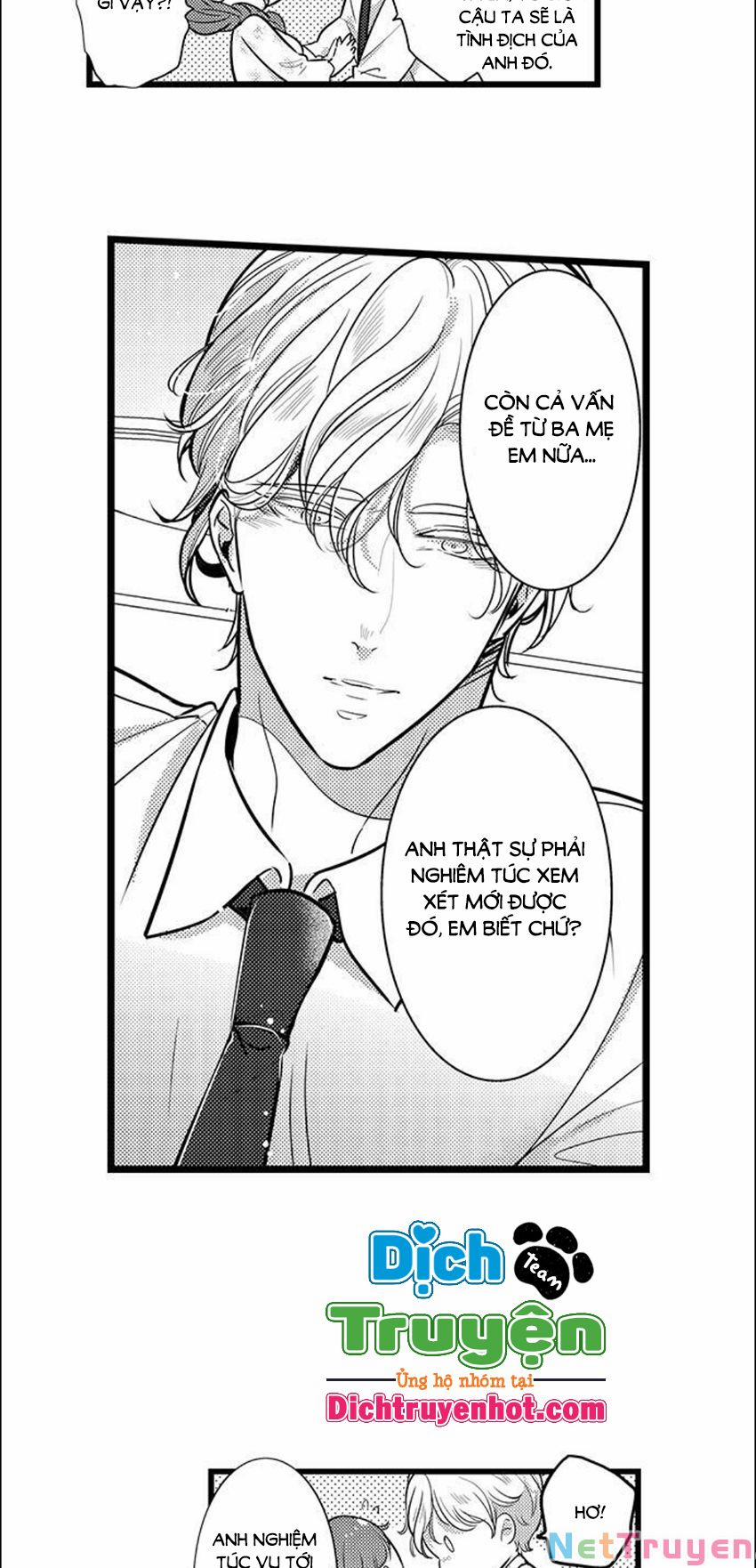 Sai Rồi, Sếp Tây Nhà Tôi Không Phải Là Quý Ông Đâu! 82 trang 15