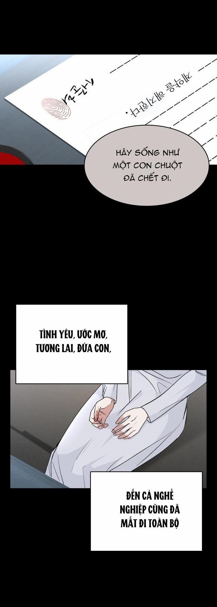 Săn Cáo 10 trang 19