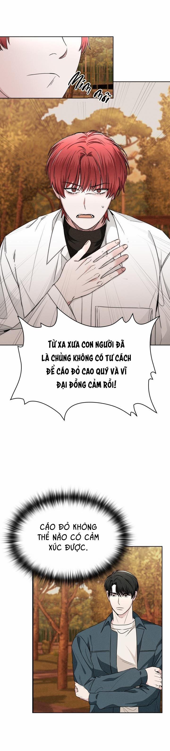 Săn Cáo 10 trang 26