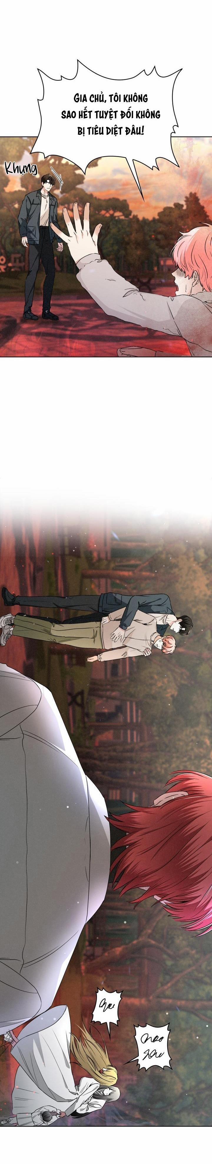 Săn Cáo 10 trang 35