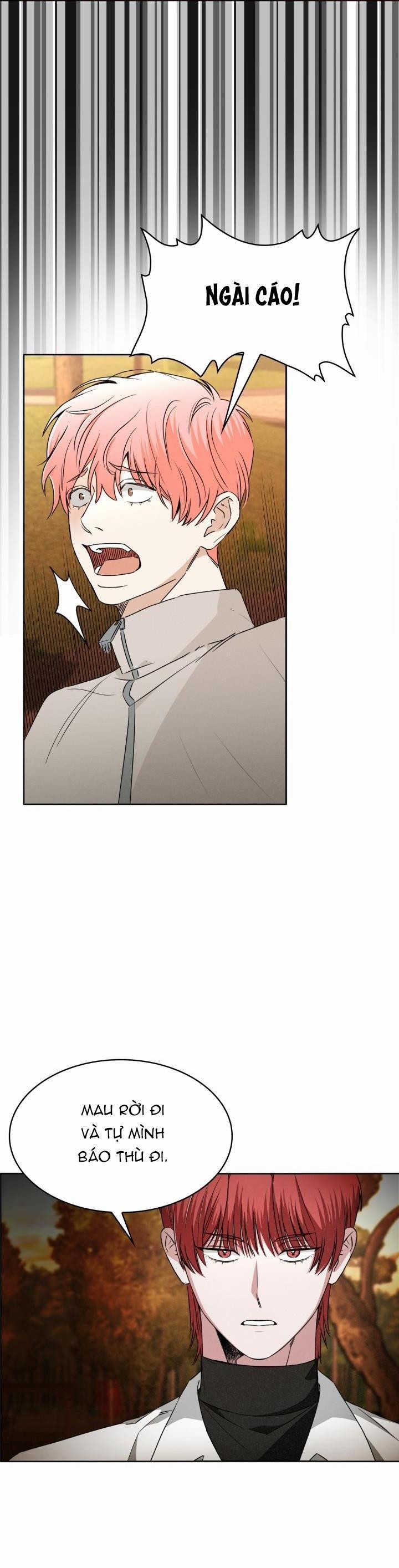 Săn Cáo 10 trang 37