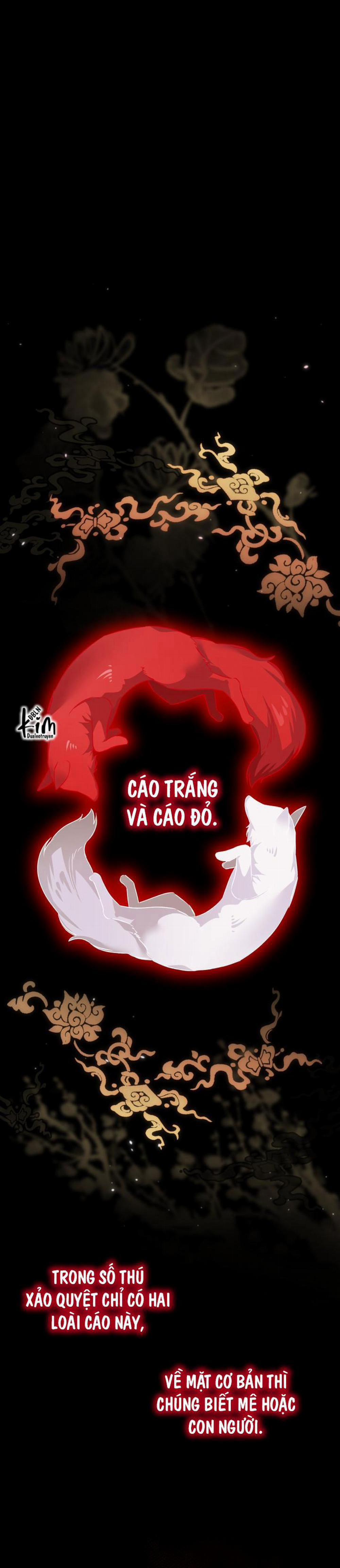 Săn Cáo 2 trang 0