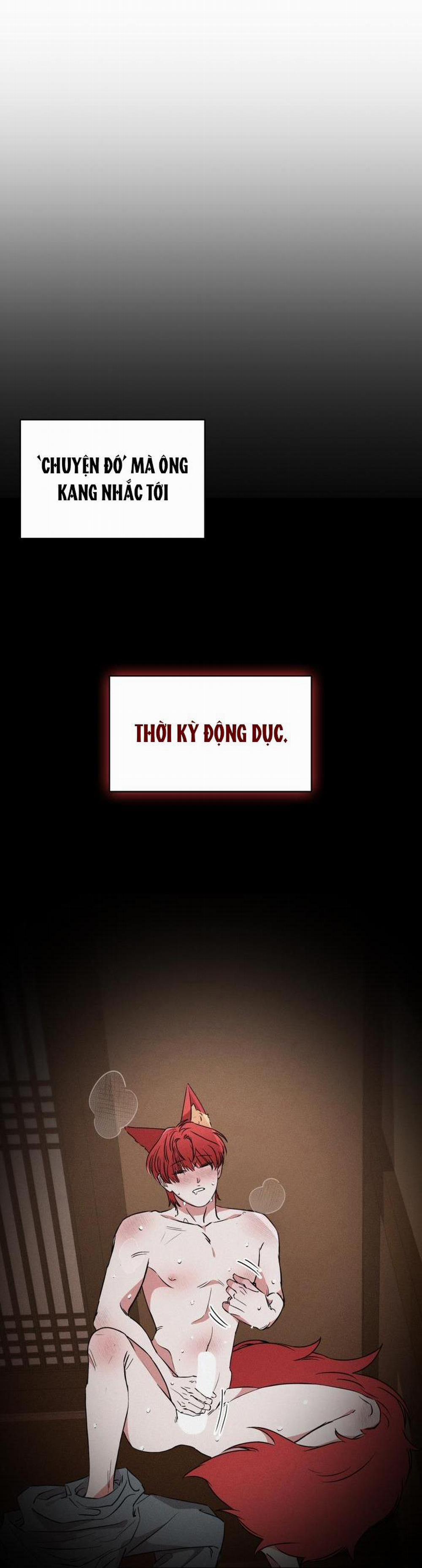 Săn Cáo 3 trang 34