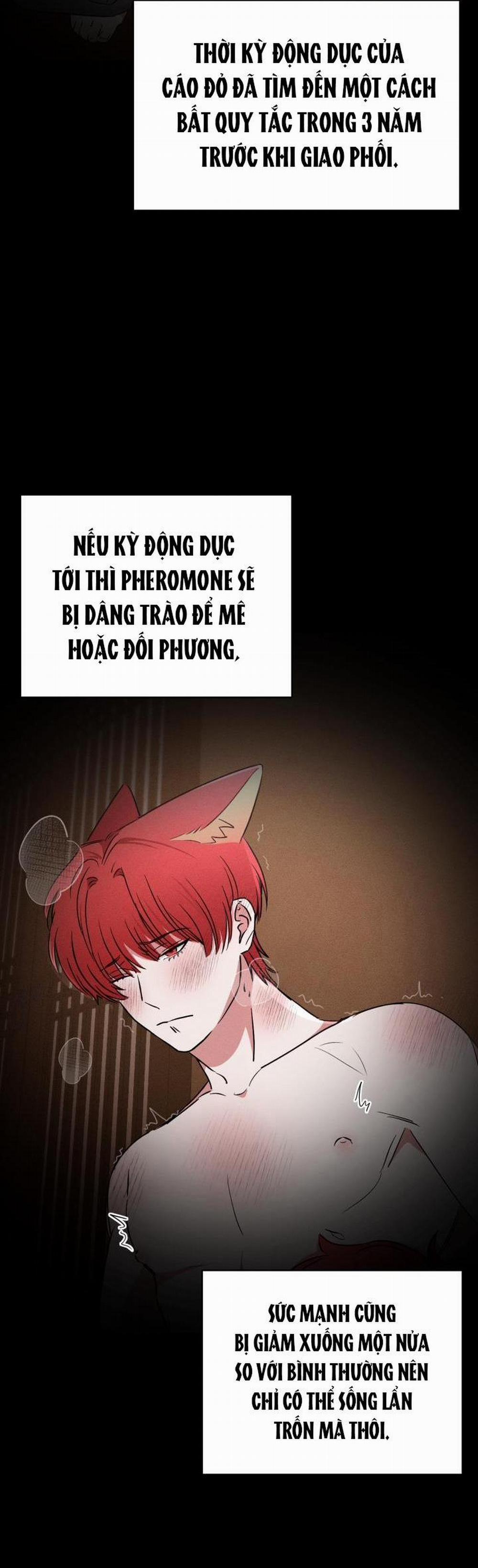 Săn Cáo 3 trang 35