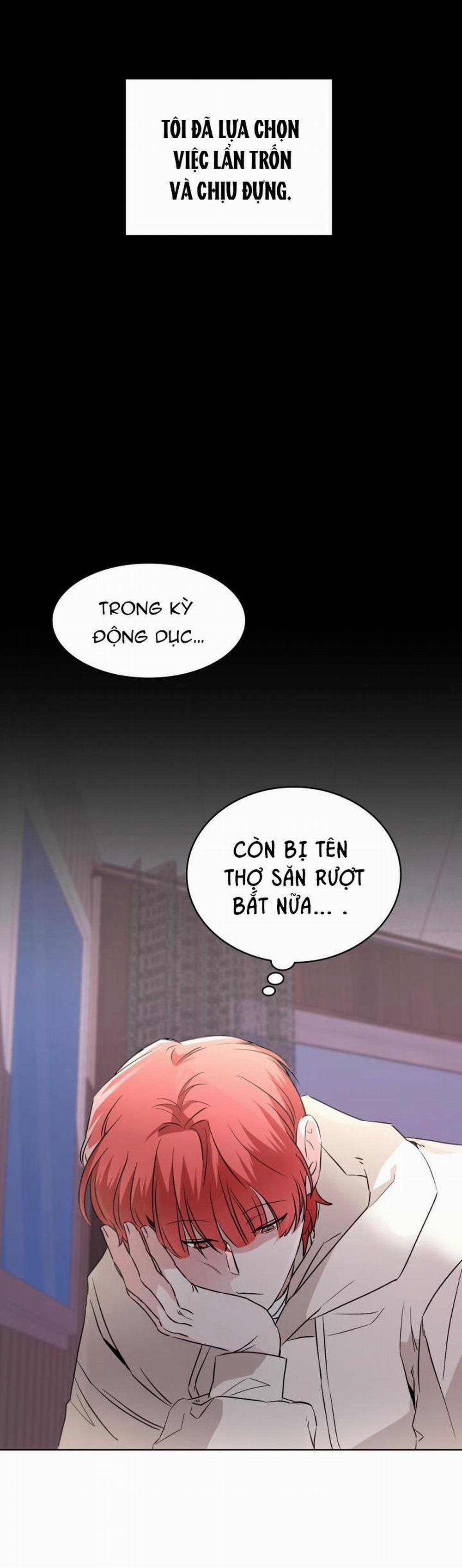 Săn Cáo 3 trang 38