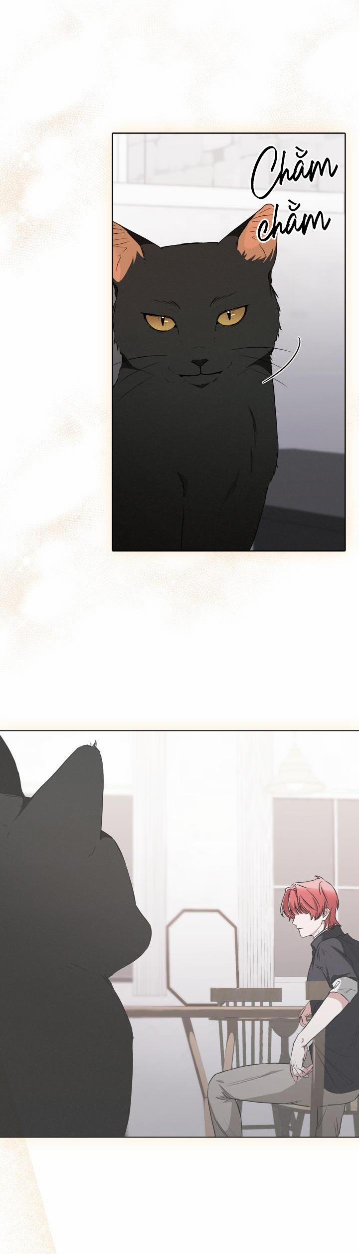 Săn Cáo 7 trang 26