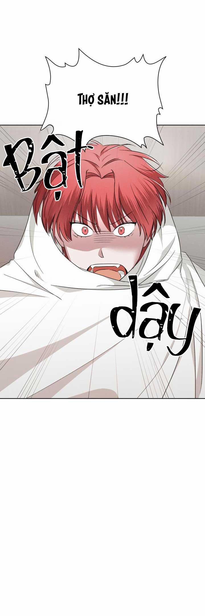 Săn Cáo 8 trang 24