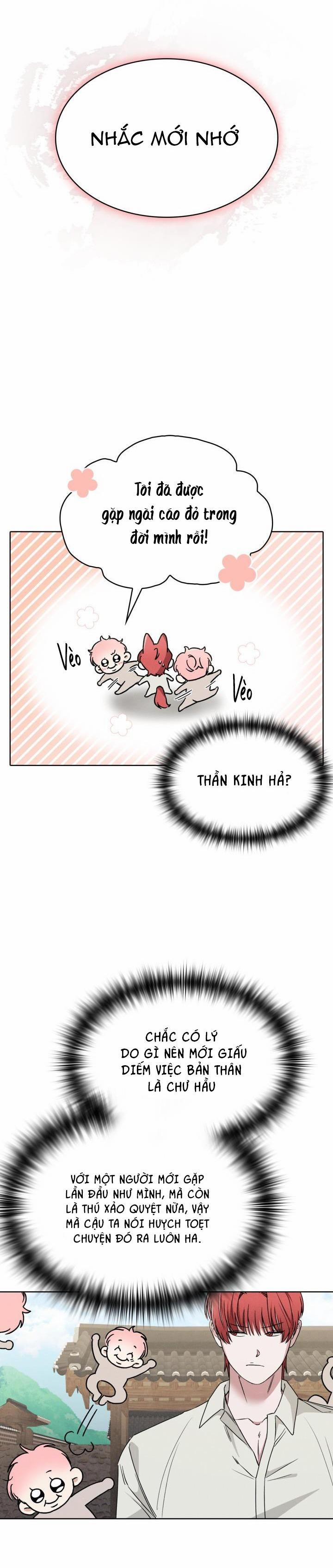 Săn Cáo 9 trang 21