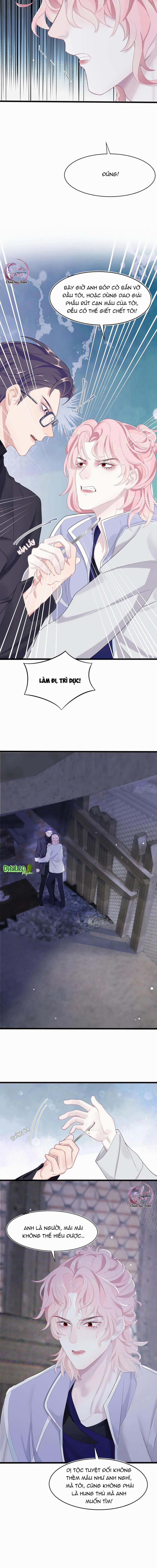 Săn Đuổi Người Thương 16 trang 3