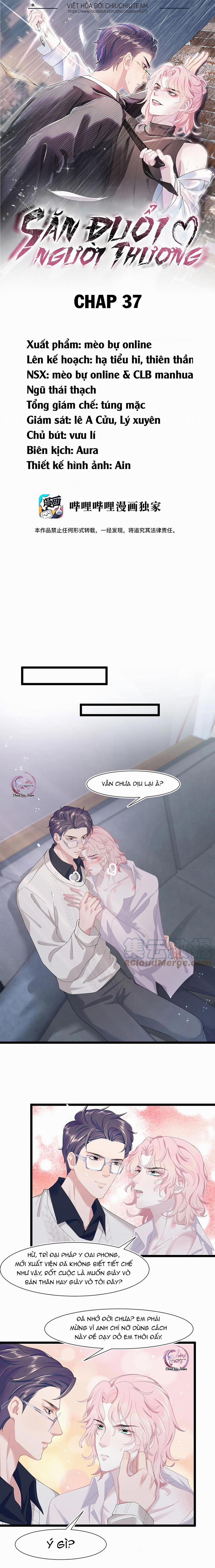 Săn Đuổi Người Thương 37 trang 0