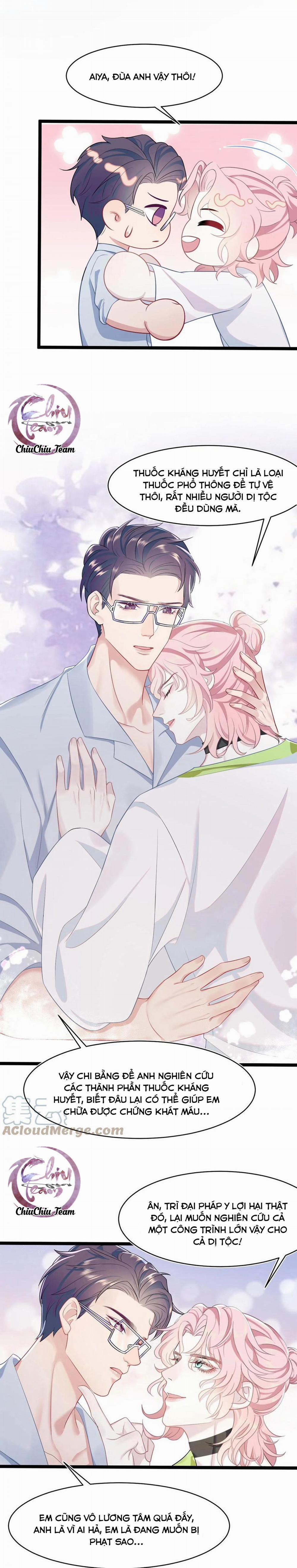 Săn Đuổi Người Thương 43 trang 4