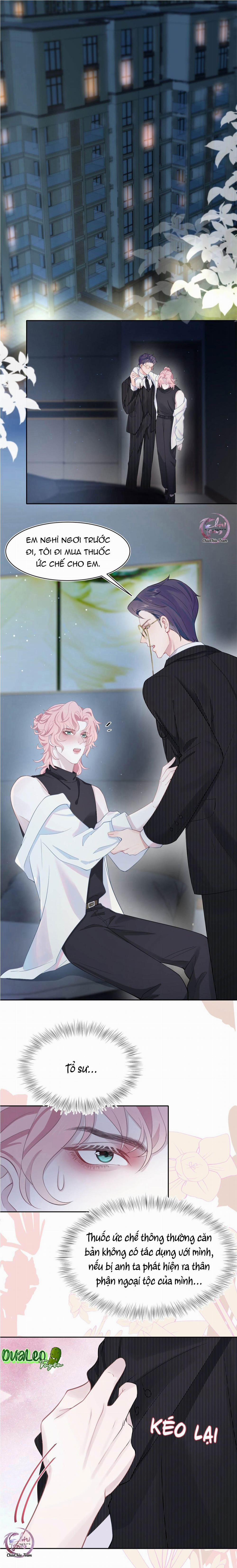 Săn Đuổi Người Thương 5 trang 2