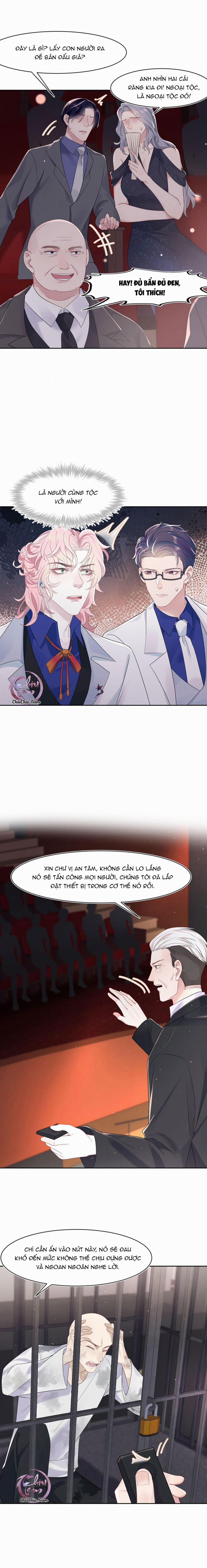 Săn Đuổi Người Thương 80 trang 2