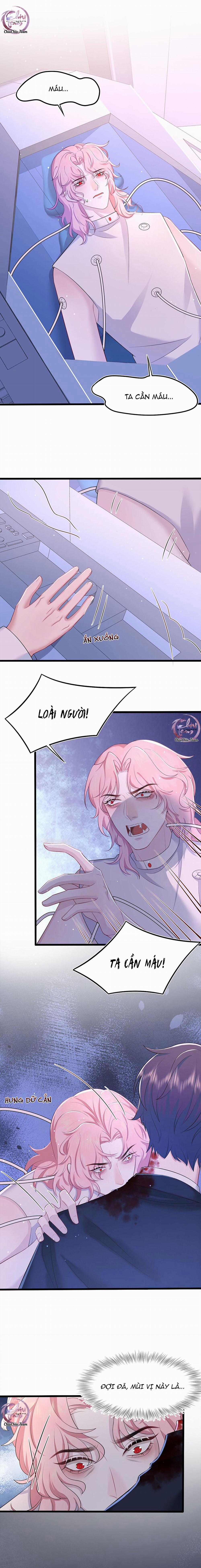 Săn Đuổi Người Thương 84 trang 2