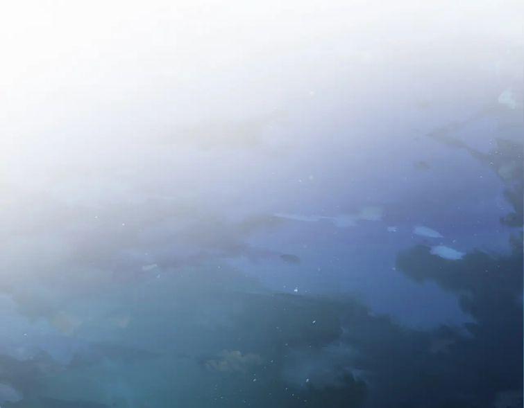 Sẵn Lòng Thua Cuộc 72 trang 80