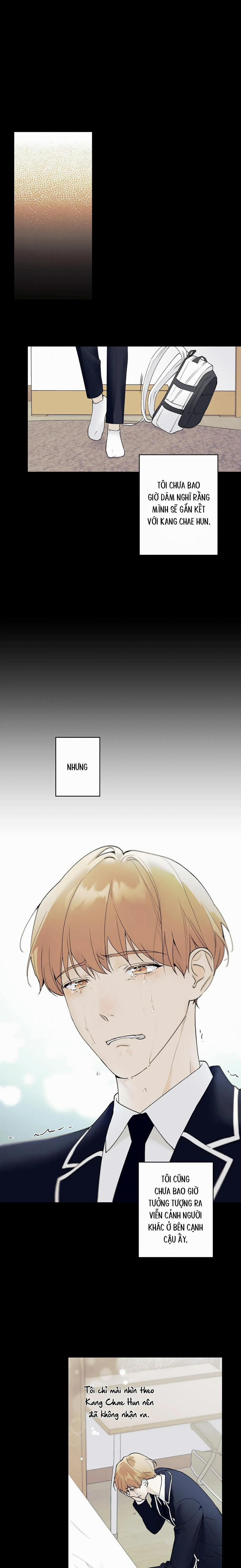 Sao Cậu Lại Luôn Tốt Với Tất Cả Mọi Người Thế? 14 trang 11