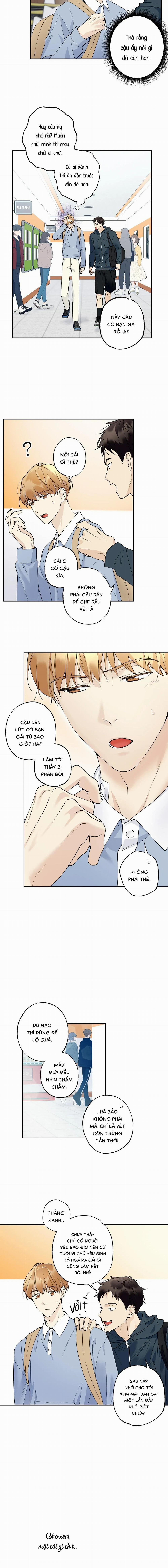 Sao Cậu Lại Luôn Tốt Với Tất Cả Mọi Người Thế? 18 trang 11