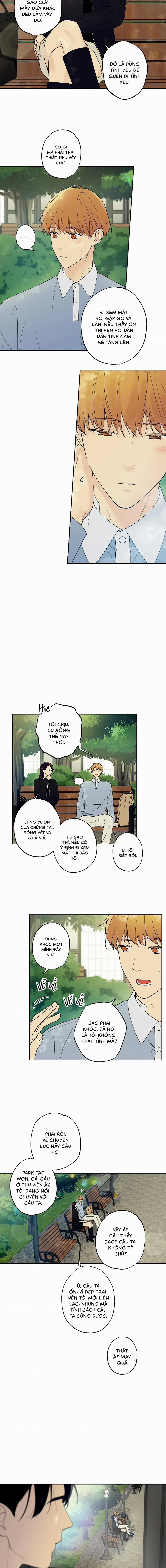 Sao Cậu Lại Luôn Tốt Với Tất Cả Mọi Người Thế? 19 trang 4