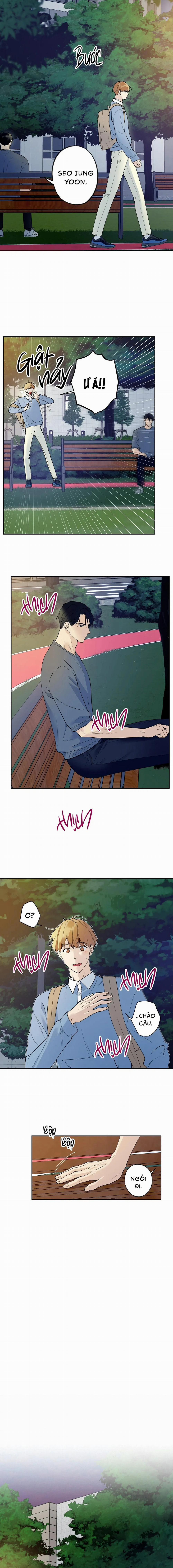 Sao Cậu Lại Luôn Tốt Với Tất Cả Mọi Người Thế? 19 trang 7