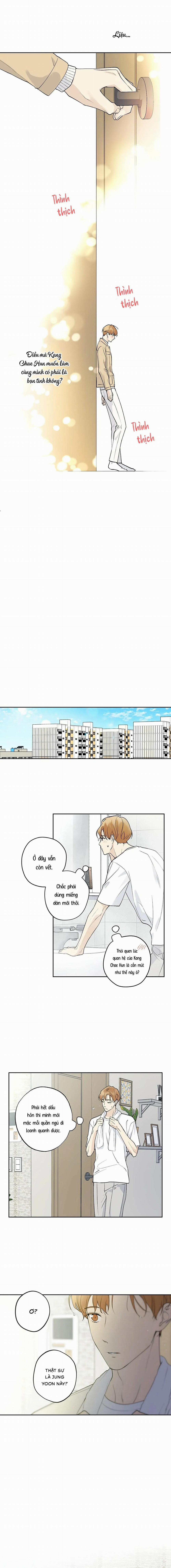 Sao Cậu Lại Luôn Tốt Với Tất Cả Mọi Người Thế? 22 trang 7