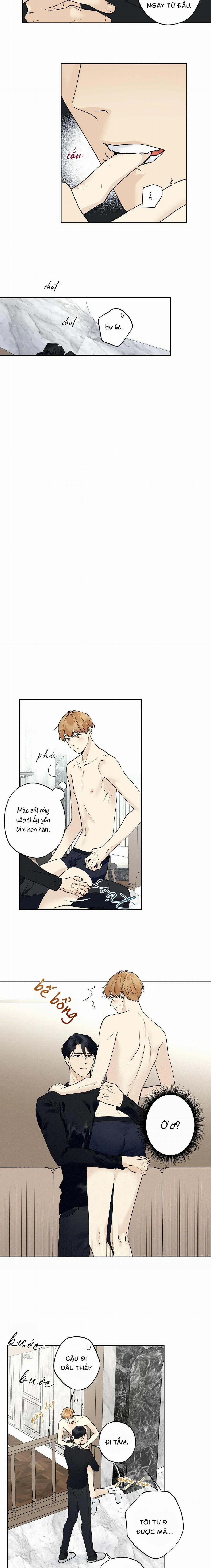 Sao Cậu Lại Luôn Tốt Với Tất Cả Mọi Người Thế? 27 trang 6