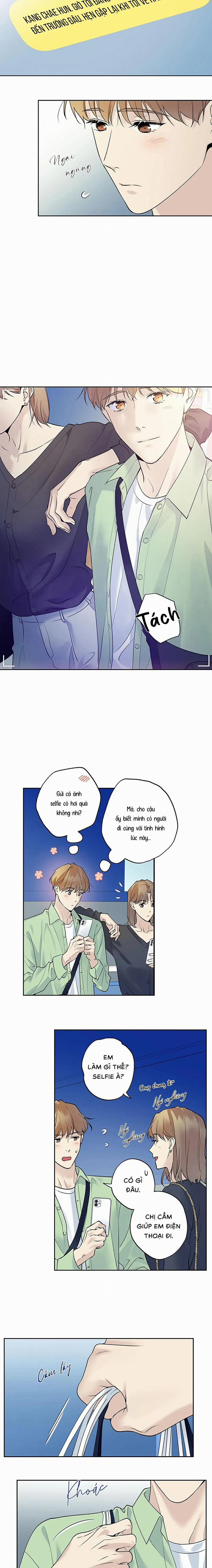 Sao Cậu Lại Luôn Tốt Với Tất Cả Mọi Người Thế? 31 trang 11