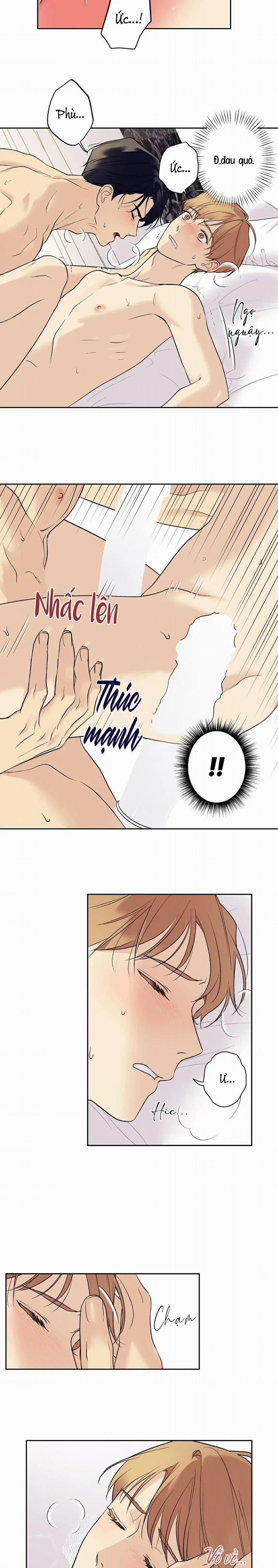 Sao Cậu Lại Luôn Tốt Với Tất Cả Mọi Người Thế? 36 trang 11