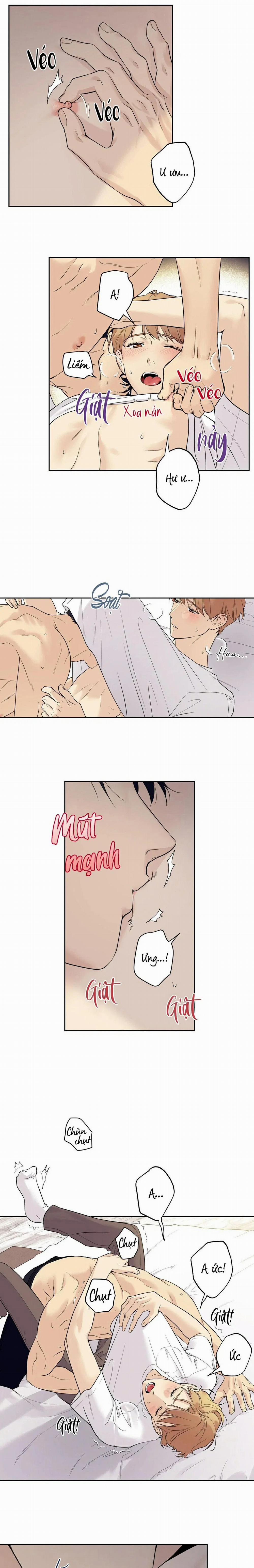 Sao Cậu Lại Luôn Tốt Với Tất Cả Mọi Người Thế? 36 trang 2