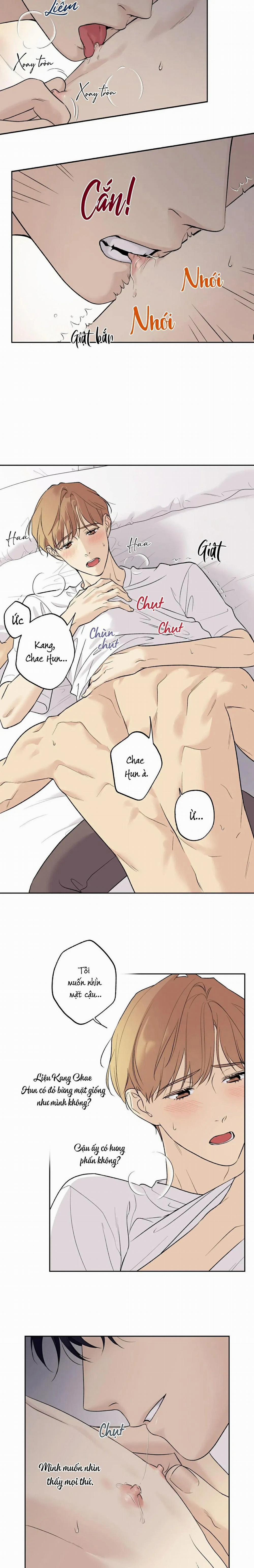 Sao Cậu Lại Luôn Tốt Với Tất Cả Mọi Người Thế? 36 trang 3