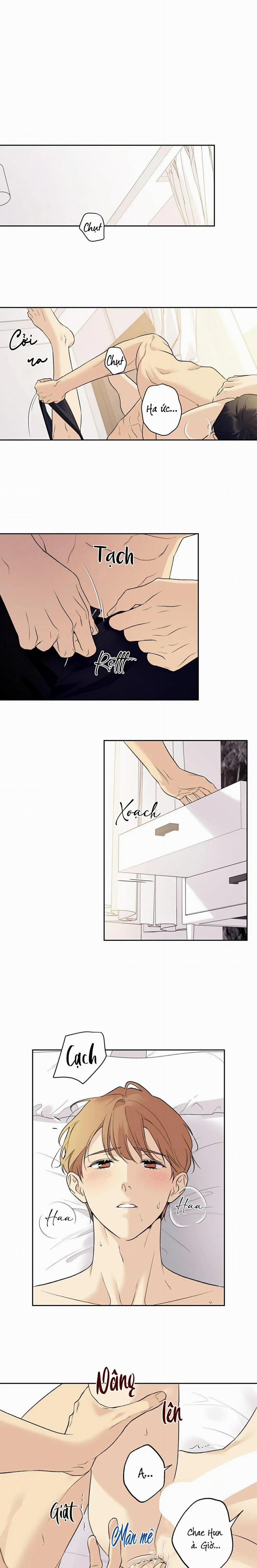 Sao Cậu Lại Luôn Tốt Với Tất Cả Mọi Người Thế? 36 trang 7