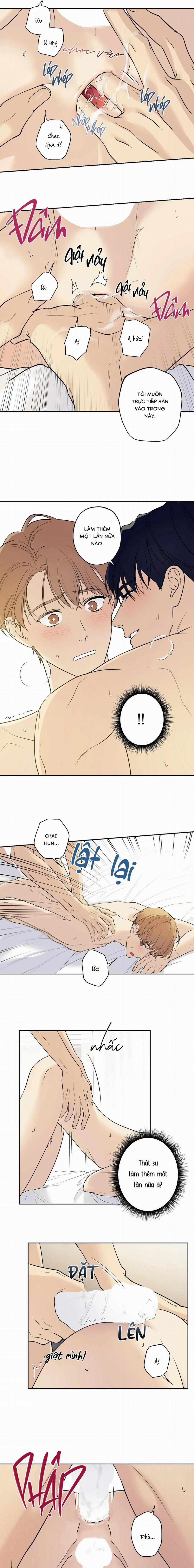 Sao Cậu Lại Luôn Tốt Với Tất Cả Mọi Người Thế? 37 trang 6