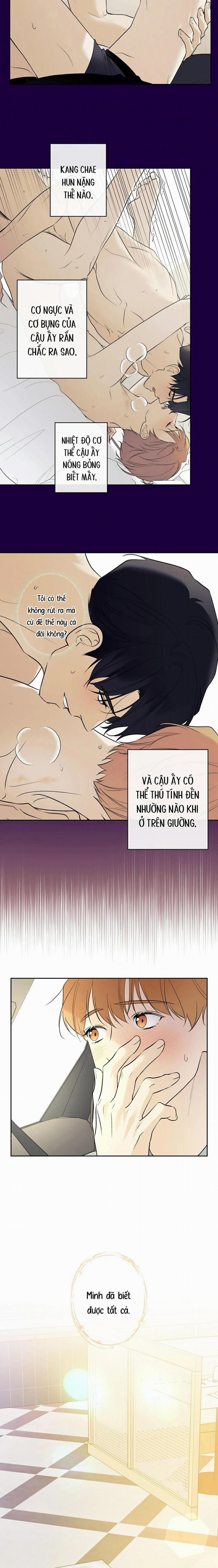 Sao Cậu Lại Luôn Tốt Với Tất Cả Mọi Người Thế? 38 trang 10