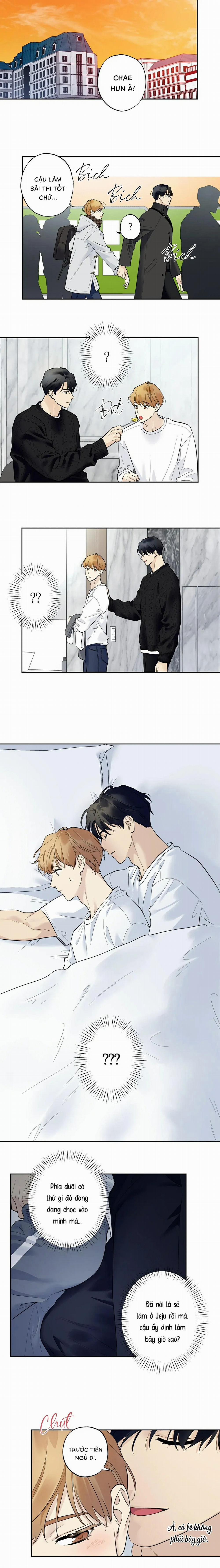 Sao Cậu Lại Luôn Tốt Với Tất Cả Mọi Người Thế? 39 trang 10