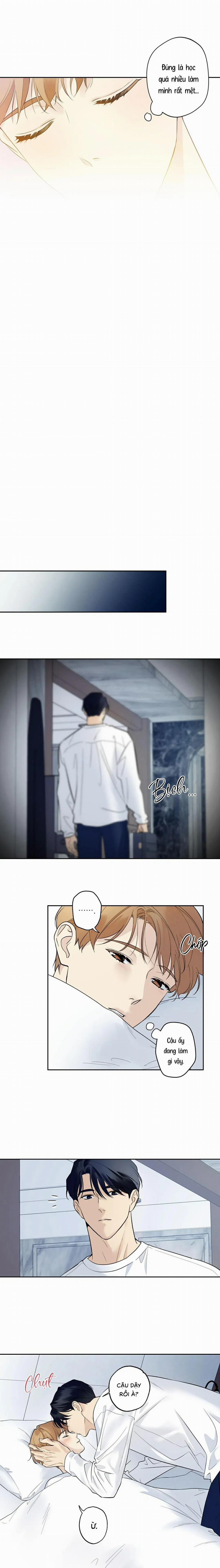 Sao Cậu Lại Luôn Tốt Với Tất Cả Mọi Người Thế? 39 trang 11