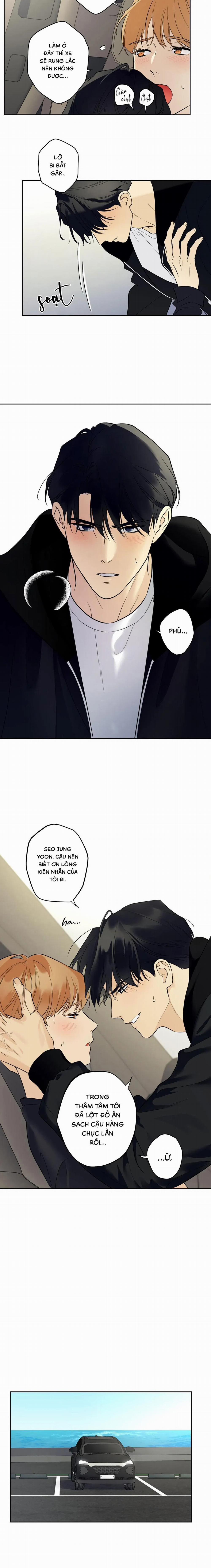 Sao Cậu Lại Luôn Tốt Với Tất Cả Mọi Người Thế? 40 trang 11