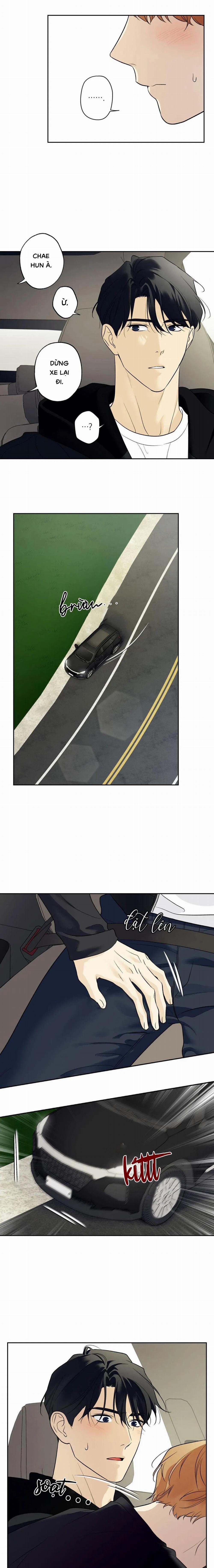 Sao Cậu Lại Luôn Tốt Với Tất Cả Mọi Người Thế? 40 trang 13