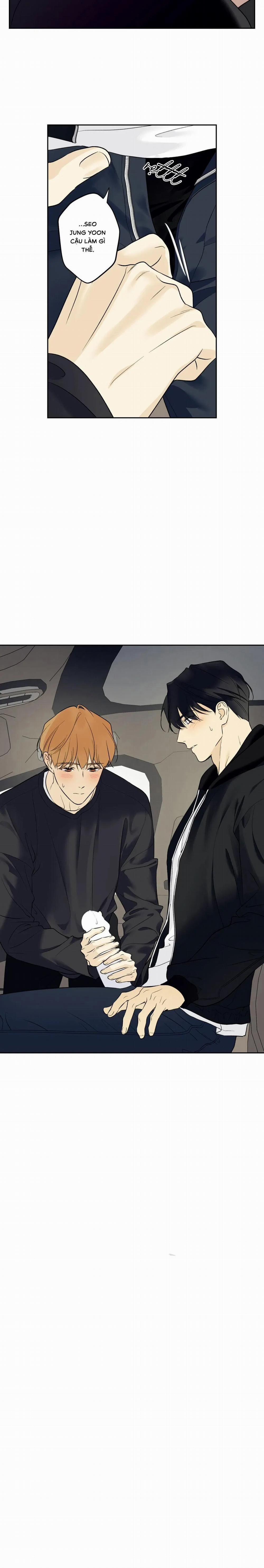 Sao Cậu Lại Luôn Tốt Với Tất Cả Mọi Người Thế? 40 trang 14