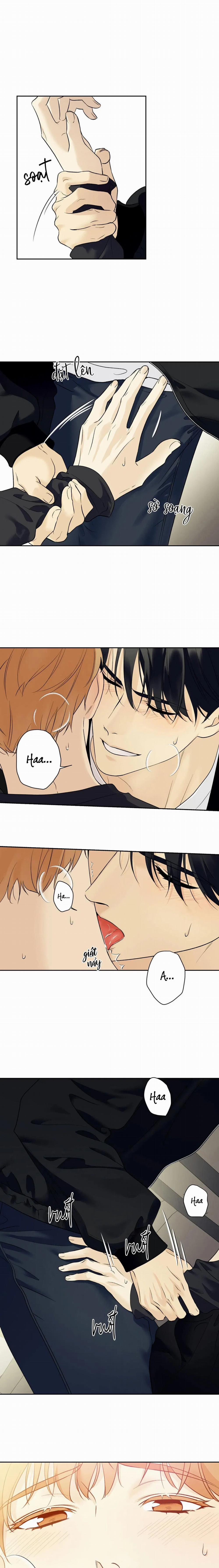 Sao Cậu Lại Luôn Tốt Với Tất Cả Mọi Người Thế? 40 trang 9