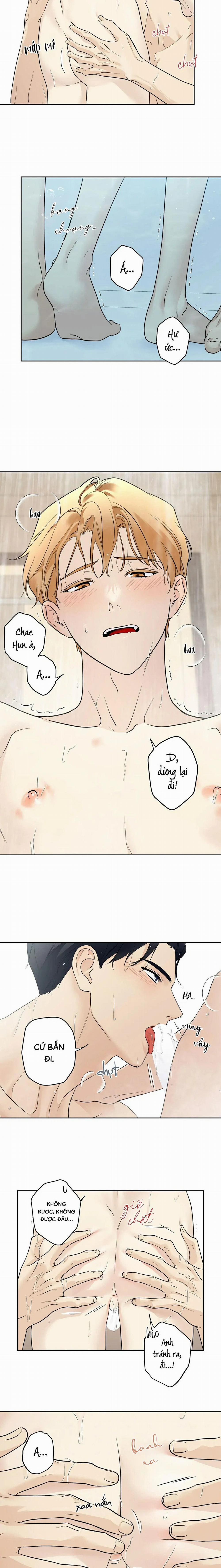 Sao Cậu Lại Luôn Tốt Với Tất Cả Mọi Người Thế? 41 trang 11