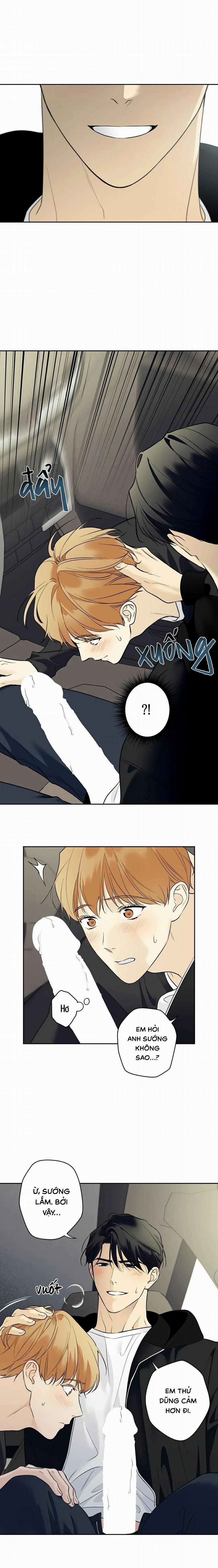 Sao Cậu Lại Luôn Tốt Với Tất Cả Mọi Người Thế? 41 trang 2