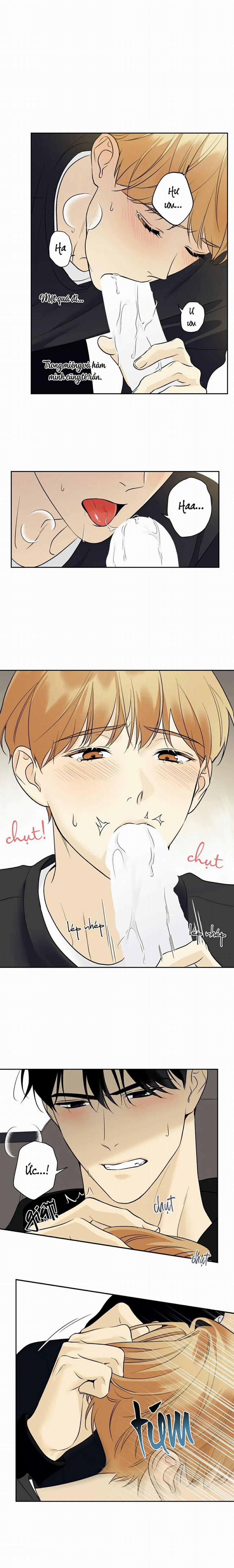 Sao Cậu Lại Luôn Tốt Với Tất Cả Mọi Người Thế? 41 trang 5