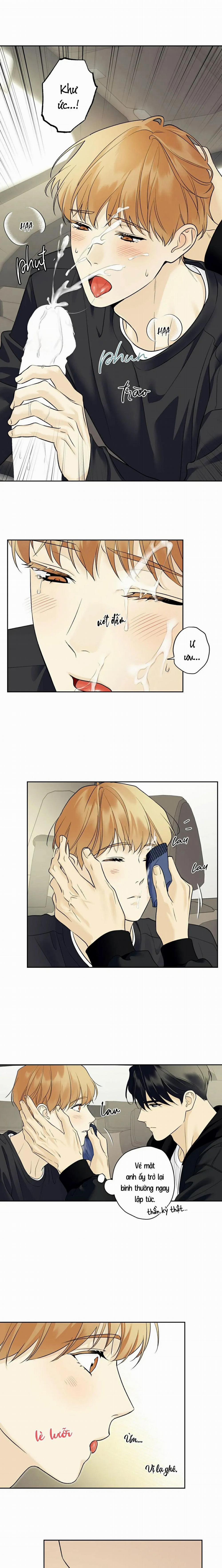 Sao Cậu Lại Luôn Tốt Với Tất Cả Mọi Người Thế? 41 trang 6