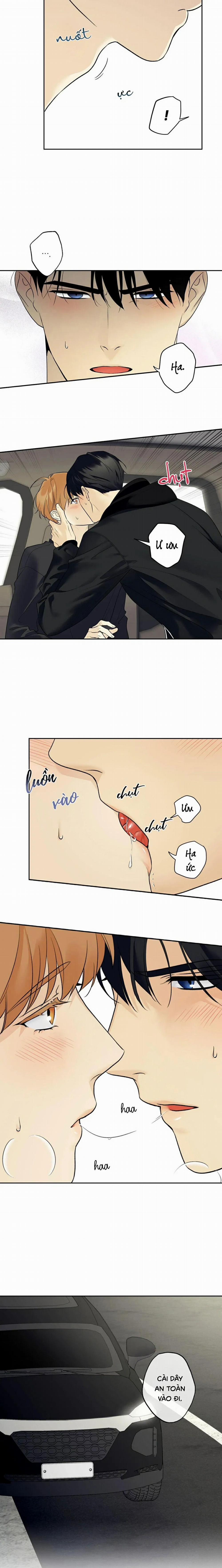 Sao Cậu Lại Luôn Tốt Với Tất Cả Mọi Người Thế? 41 trang 7